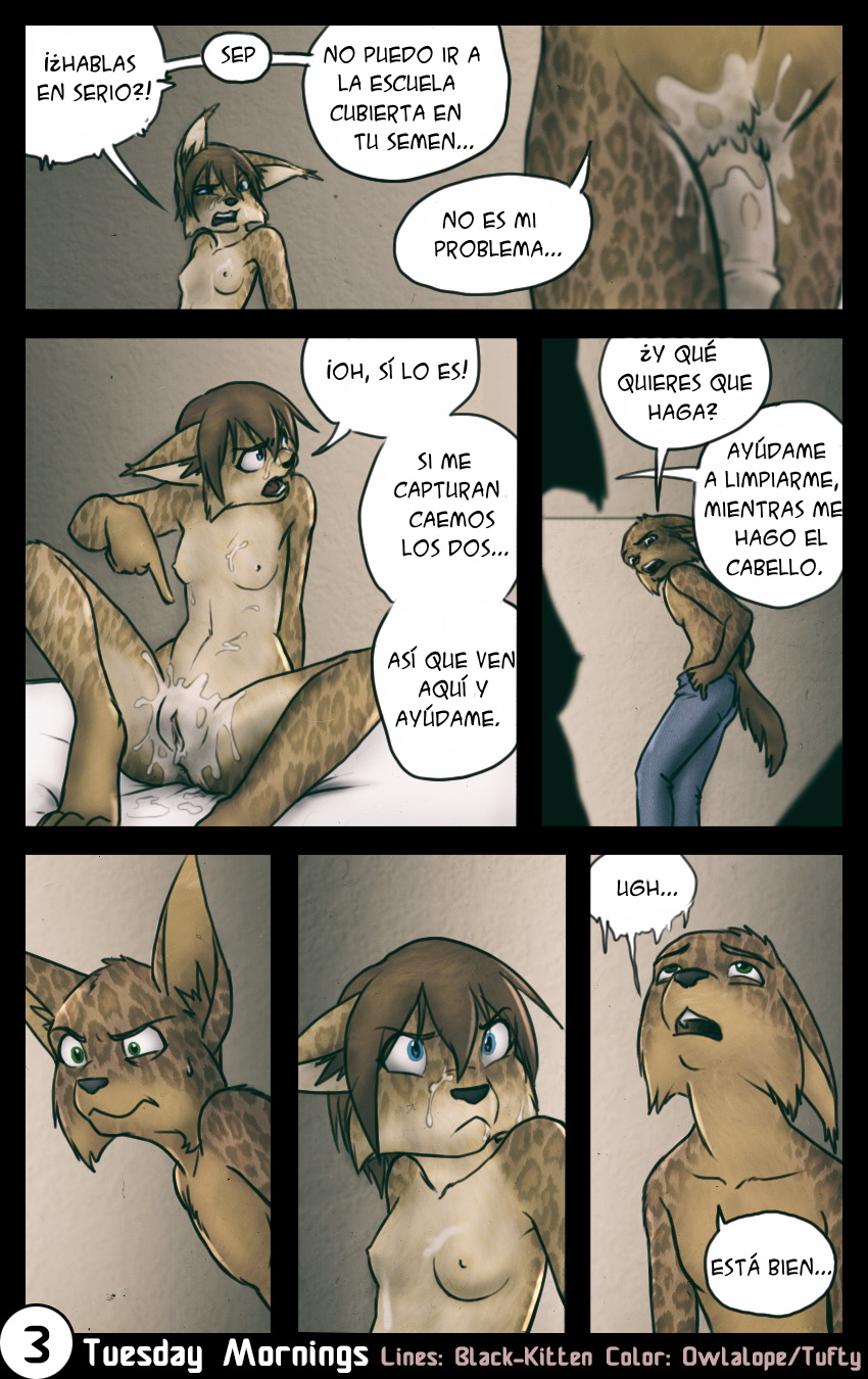 [BlackKitten] Tuesday Mornings (Furry Porn)