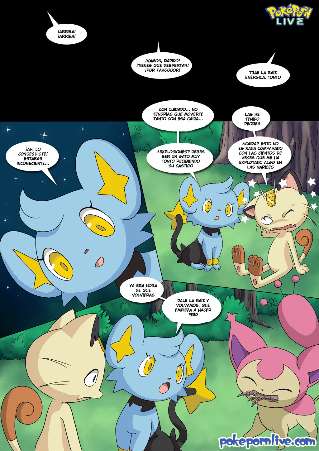 [Palcomix] Las GATITAS de NYARTH (Pokémon)